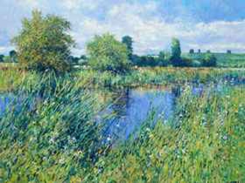 river nene by charles neal.jpg